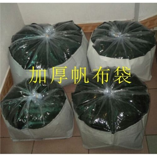 去馬來西亞買龍魚需要辦理哪些手續（馬來西亞交易時需要遵循一些基本步驟和注意事項）