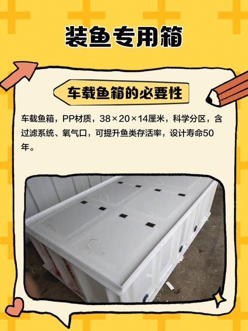 去馬來西亞買龍魚需要辦理哪些手續（馬來西亞交易時需要遵循一些基本步驟和注意事項）