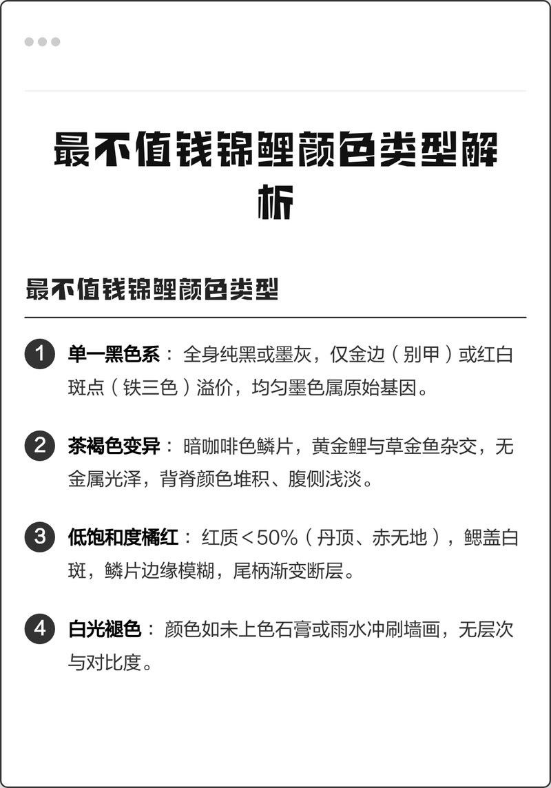 錦鯉最不值錢的顏色（最不值錢的錦鯉顏色）