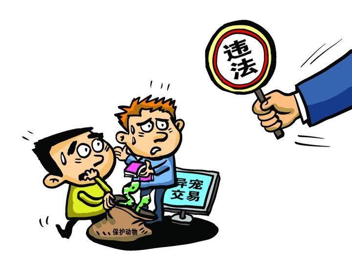 金龍魚和紅龍魚雜交是否受法律處罰？（金龍魚和紅龍魚雜交是否受法律處罰金龍魚和紅龍魚雜交是否受法律處罰）