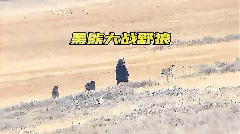 動態誘餌策略具體如何操作（動態誘餌策略有哪些動態誘餌策略有哪些成功案例）
