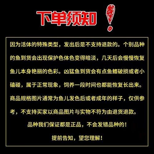 夢(mèng)幻雷龍魚是雜牌子還是名牌（夢(mèng)幻雷龍魚怎么樣？）