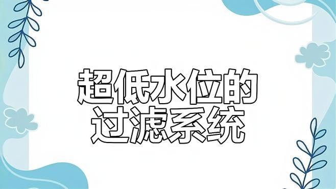 六角恐龍需要什么樣的過濾系統（六角恐龍的過濾系統）
