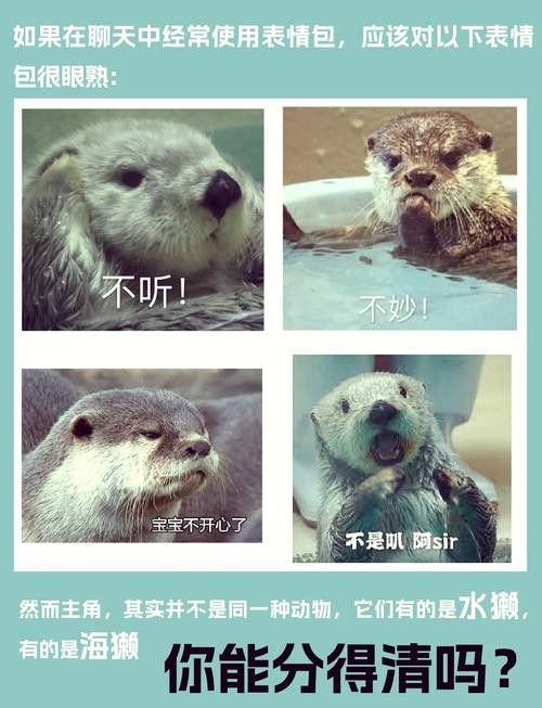 如何減少雷龍魚之間的攻擊（】水產(chǎn)養(yǎng)殖中常見疾病的預(yù)防與控制措施）