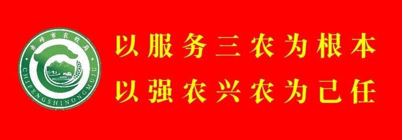 如何減少雷龍魚之間的攻擊（】水產(chǎn)養(yǎng)殖中常見疾病的預(yù)防與控制措施）