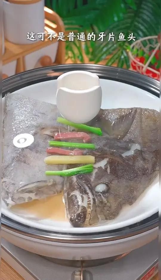 最好的鰈魚品牌（京東鰈魚品牌排行榜）