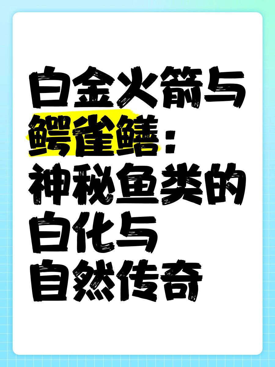 白化鱷雀鱔和普通鱷雀鱔有何區(qū)別