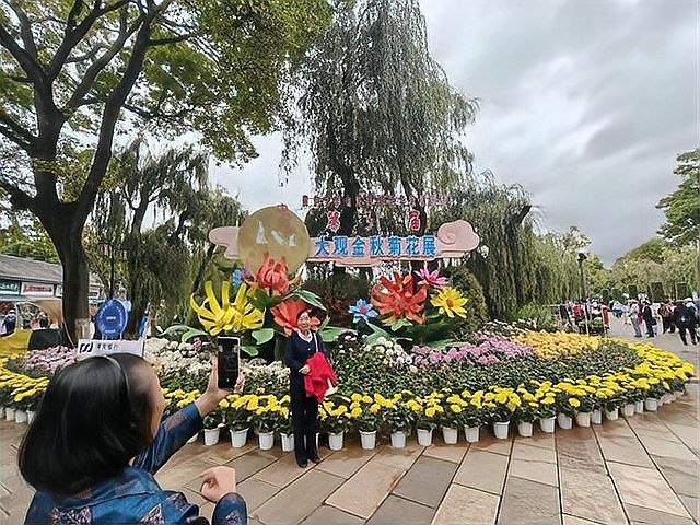 能提供更多稀有品種的價(jià)格信息嗎（全球各類(lèi)稀有品種價(jià)格信息匯總）
