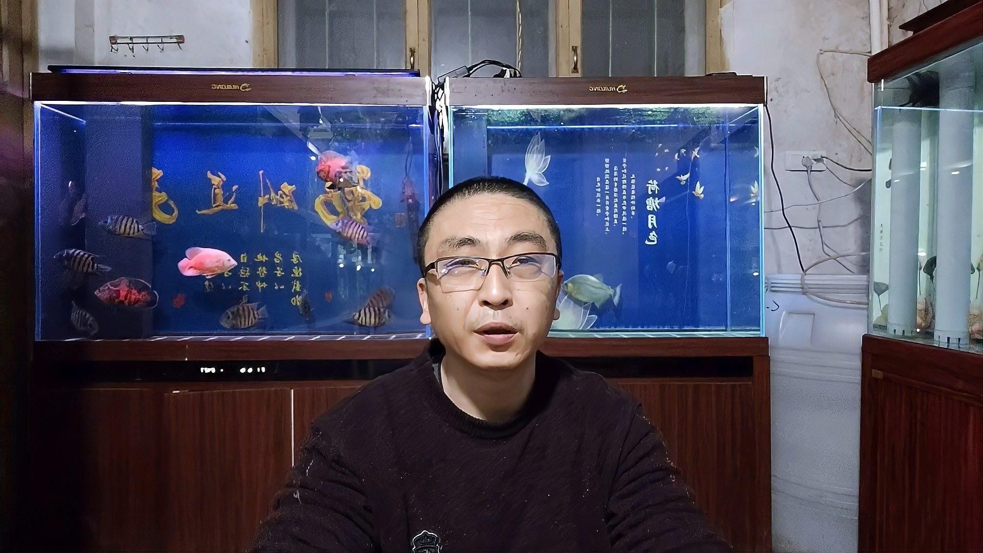 混養高端魚種需要注意哪些事項（養殖高端魚種的注意事項）