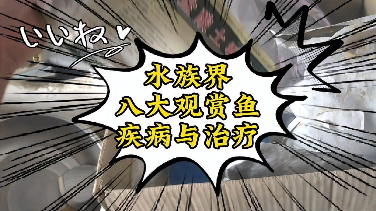 魚缸疾病大全及癥狀