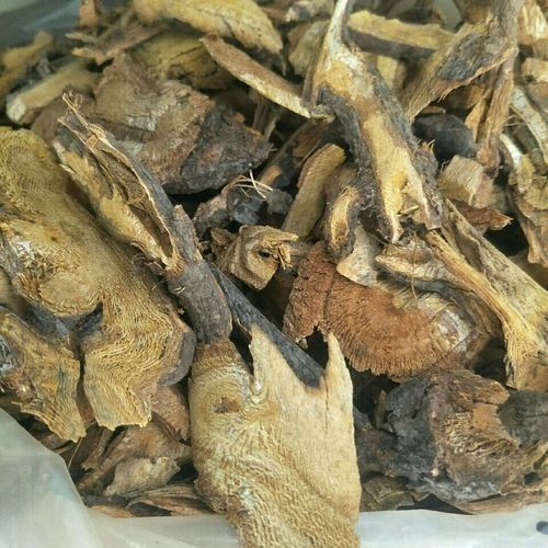 馬龍魚草藥圖片（“馬龍魚”在中醫中通常指的是“海龍”1,海龍是一種海洋中藥材）
