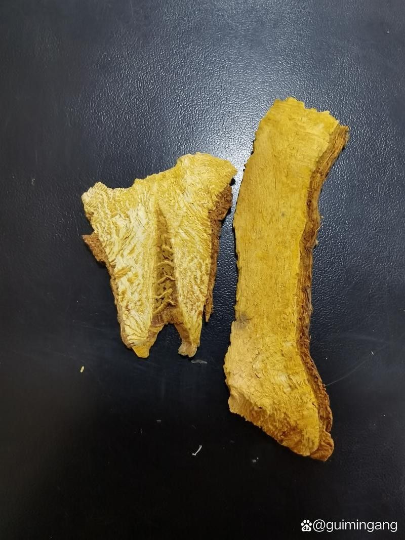 馬龍魚草藥圖片（“馬龍魚”在中醫中通常指的是“海龍”1,海龍是一種海洋中藥材）