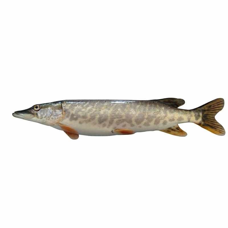 海龍魚有哪些營養(yǎng)價值？（<strong><mark>恩施州</mark></strong>綜合門戶網(wǎng)站二月這魚正鮮嫩好吃不貴搜狐聽）