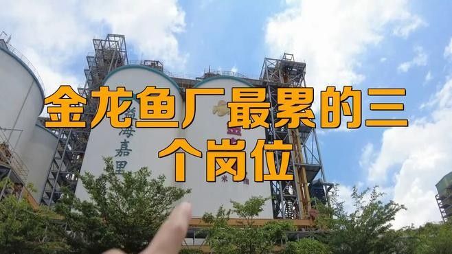 江津德感金龍魚(yú)招聘哪些崗位？