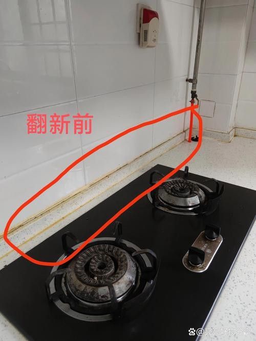 有哪些防霉措施？ 有哪些防霉措施？ 龍魚百科 第1張