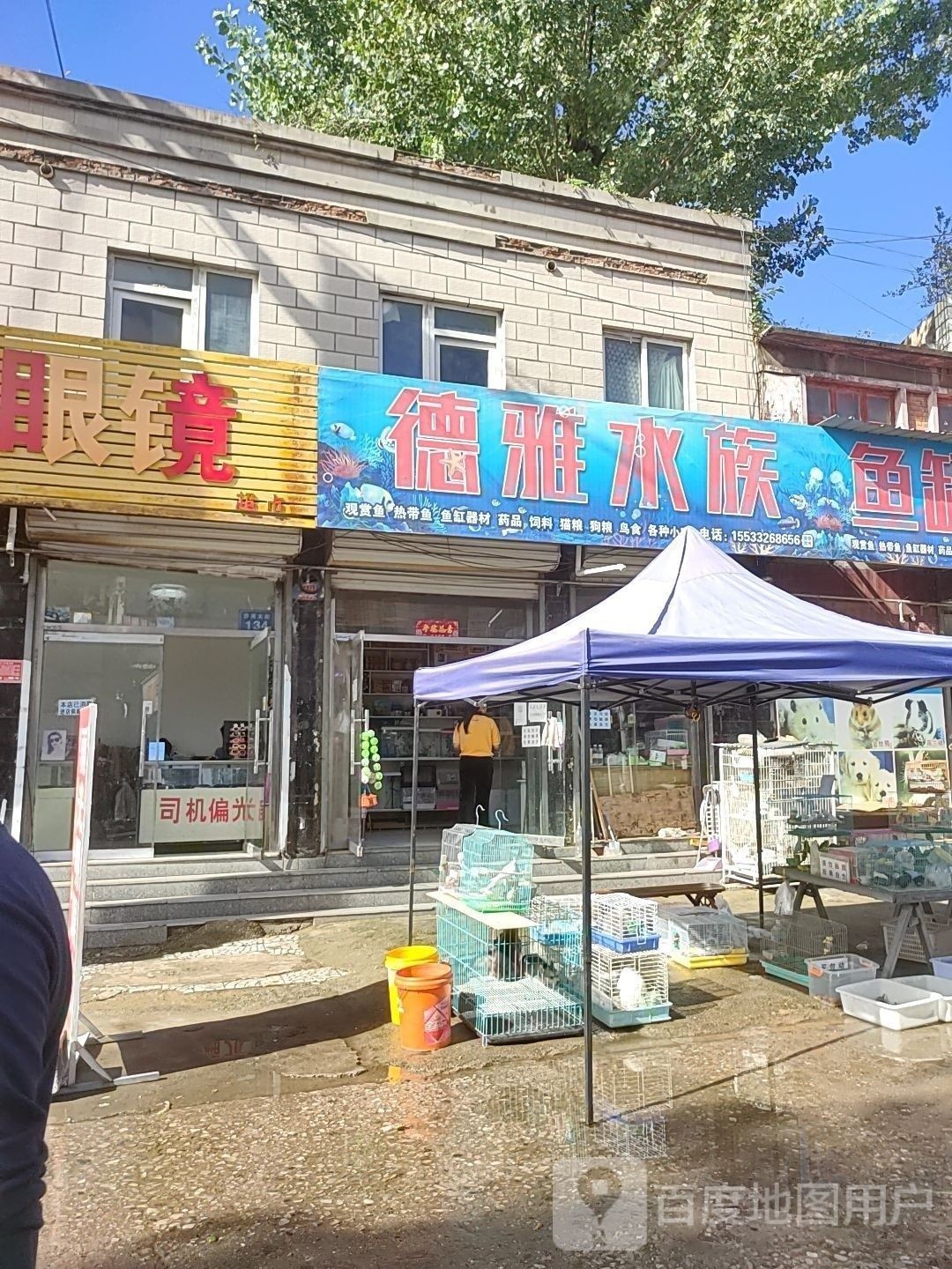 淶源哪個水族館龍魚好？祥龍魚場龍魚（河北保定淶源縣祥龍魚場龍魚養護技巧第56間教室） 淶源哪個水族館龍魚好？祥龍魚場龍魚（河北保定淶源縣祥龍魚場龍魚養護技巧第56間教室） 龍魚百科 第3張