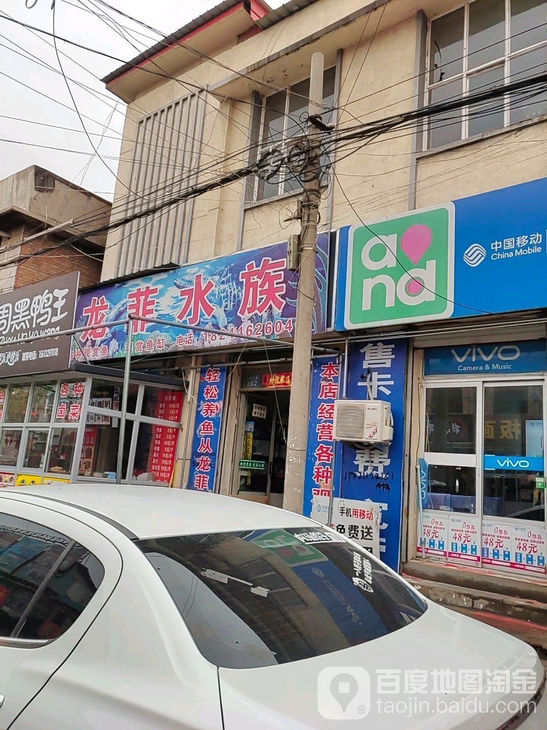淶源哪個水族館龍魚好？祥龍魚場龍魚（河北保定淶源縣祥龍魚場龍魚養護技巧第56間教室） 淶源哪個水族館龍魚好？祥龍魚場龍魚（河北保定淶源縣祥龍魚場龍魚養護技巧第56間教室） 龍魚百科 第1張