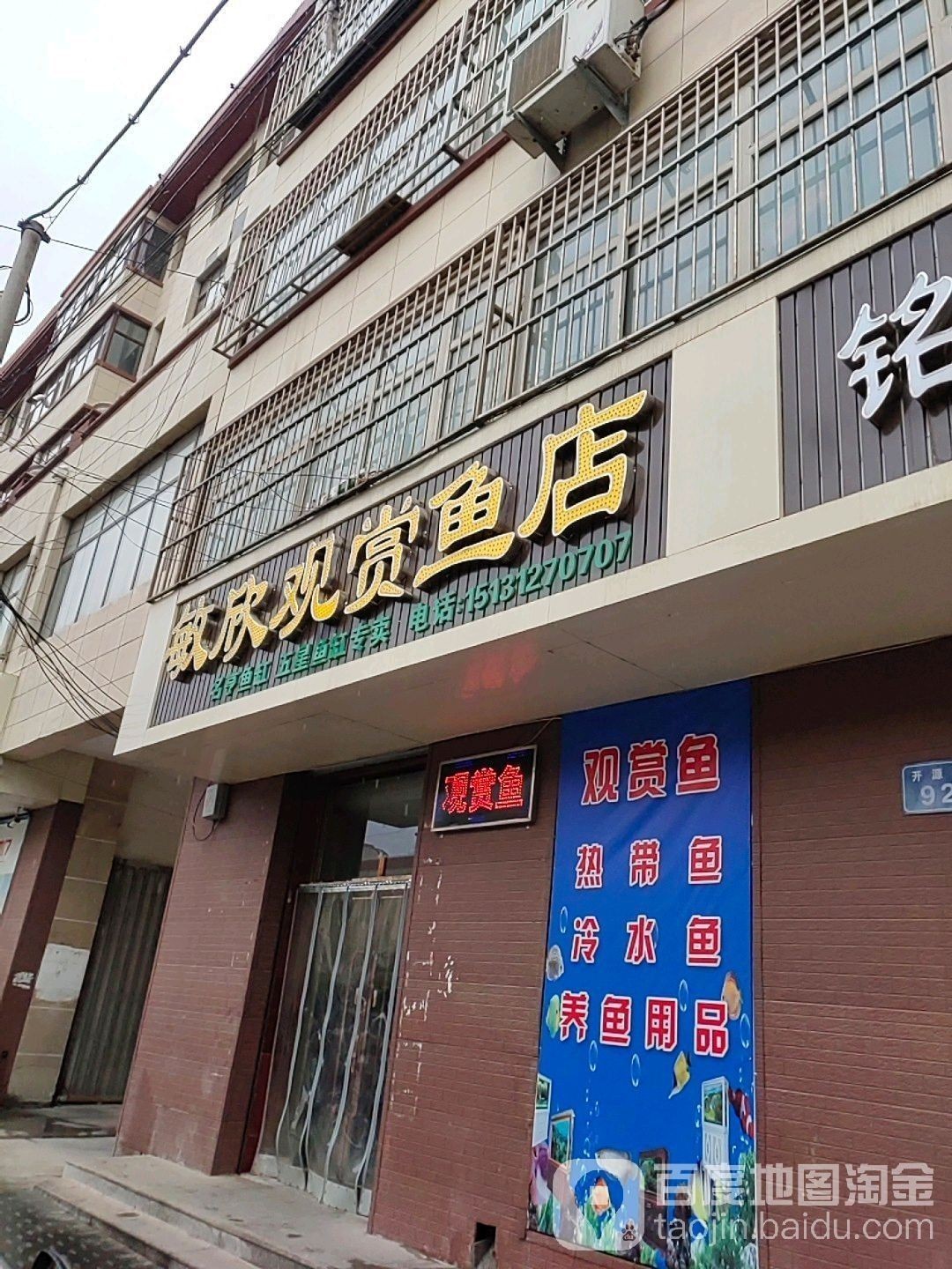 淶源哪個水族館龍魚好？祥龍魚場龍魚（河北保定淶源縣祥龍魚場龍魚養護技巧第56間教室） 淶源哪個水族館龍魚好？祥龍魚場龍魚（河北保定淶源縣祥龍魚場龍魚養護技巧第56間教室） 龍魚百科 第2張