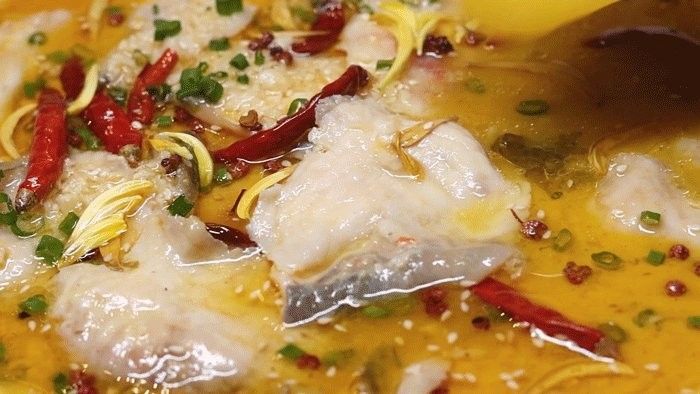 這些餐廳的鱘龍魚價格是多少？（北京親子游美食指南|米其林餐廳鱘龍魚價格）