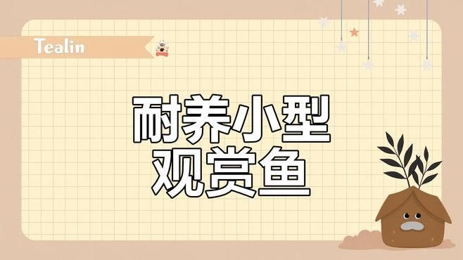 推薦一些適合新手的觀賞魚（新手養(yǎng)觀賞魚）