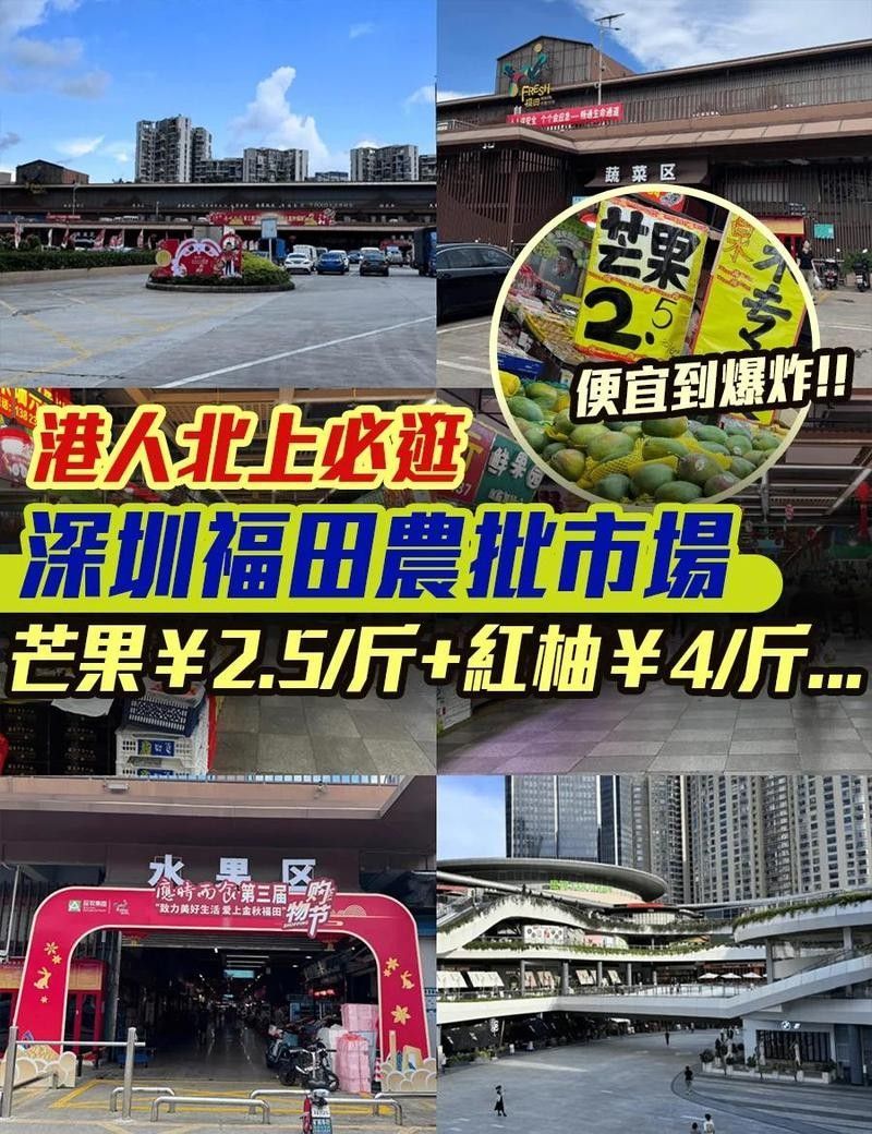 深圳有哪些龍魚批發市場