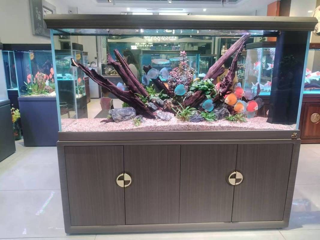 金漢江魚缸（新漢江魚缸的質量怎么樣）