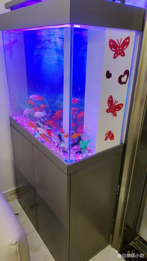金漢江魚缸（新漢江魚缸的質量怎么樣）