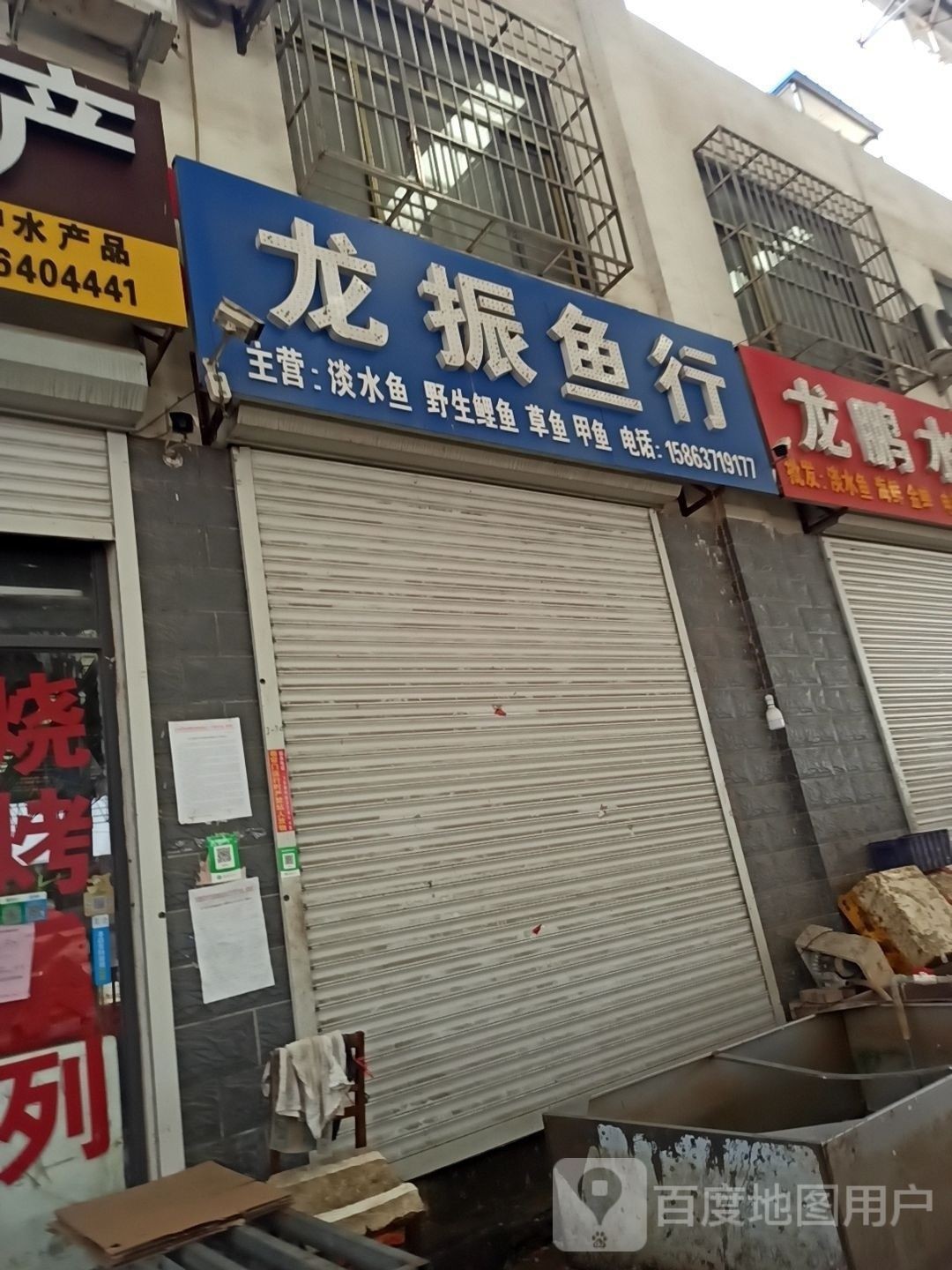 如何聯系到濟寧龍魚魚場
