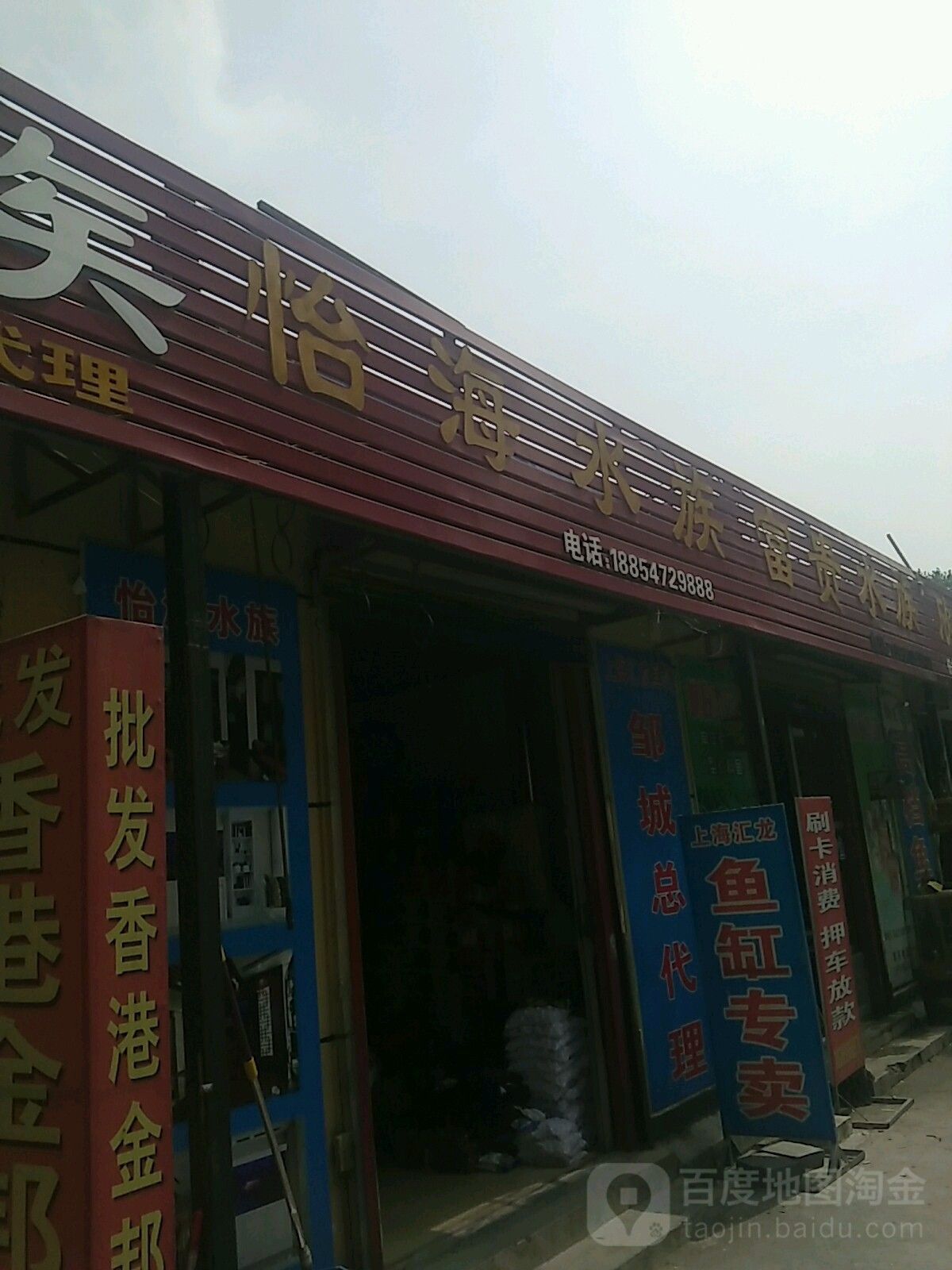 如何聯系到濟寧龍魚魚場
