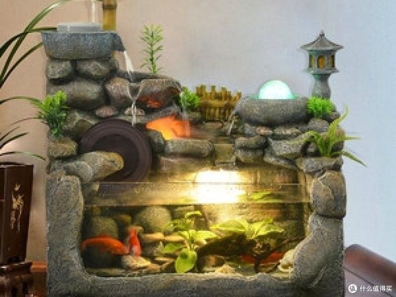 金龍魚造景需要哪些植物？