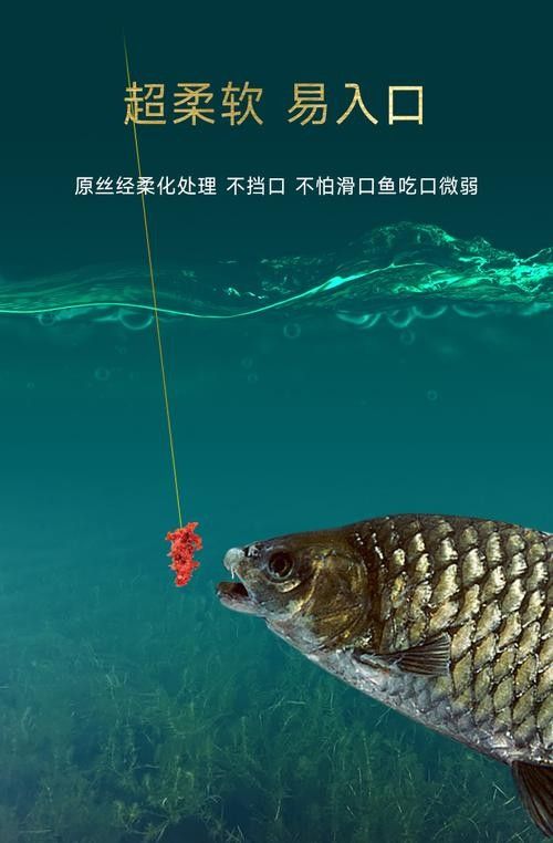 如何辨別金龍魚電線的真偽？