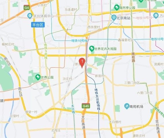 北京哪里還有賣金龍魚的？