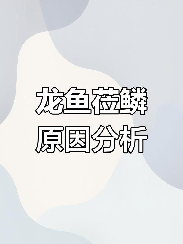 龍魚鱗片上有很多小裂紋是什么病（龍魚鱗片出現小裂紋是怎么回事？）