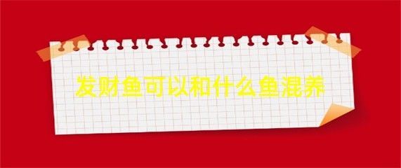 黑云魚混養(yǎng)注意事項（黑云魚混養(yǎng)需要注意以下幾點）
