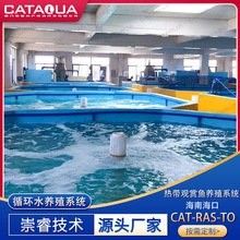 還有哪些城市的龍魚批發(fā)基地