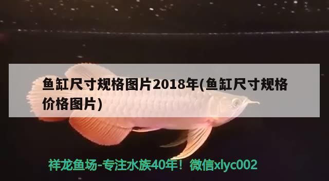 幻彩紅寶石雷龍怎么發色，雷龍怎么養容易發色