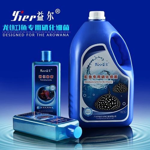 益爾龍魚益生菌酸奶 益爾龍魚益生菌酸奶 觀賞魚百科 第1張