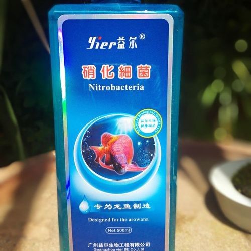 益爾龍魚益生菌酸奶 益爾龍魚益生菌酸奶 觀賞魚百科 第2張