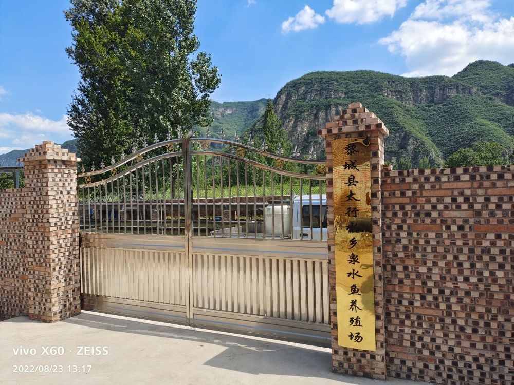 黎城金龍魚（山西省長治市黎城縣金龍魚飼養方法）