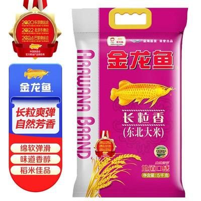 專吃恐龍的鱷魚叫什么(鱷魚吃過恐龍)