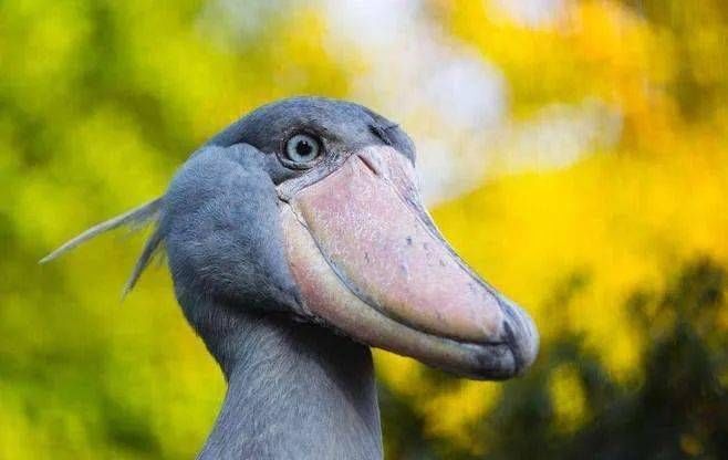 好久沒發美圖了