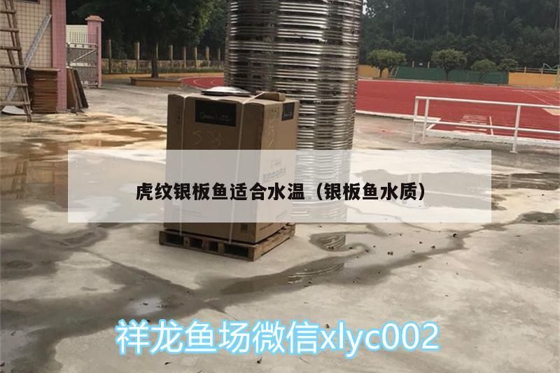 虎紋銀板魚適合水溫（銀板魚水質）