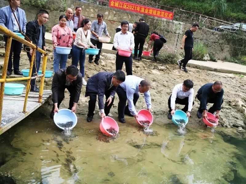 金城江龍江河都有哪些魚 金城江龍江河都有哪些魚 觀賞魚百科 第7張