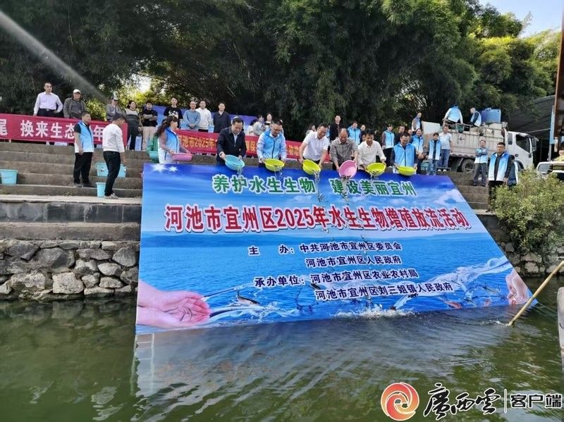 金城江龍江河都有哪些魚 金城江龍江河都有哪些魚 觀賞魚百科 第6張