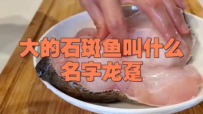 龍屯魚照片（龍屯魚的生態特征及生活習性）
