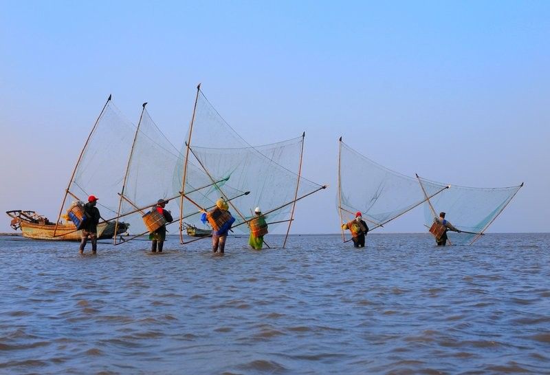 如東龍魚（如東龍魚的飼養技巧） 如東龍魚（如東龍魚的飼養技巧） 觀賞魚百科 第7張