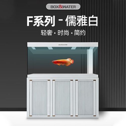 博特龍魚缸有哪些顏色可選？（博特大型水族箱免換水珊瑚缸仿生態(tài)觀賞魚）