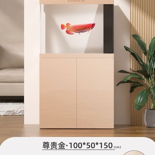 博特龍魚缸有哪些顏色可選？（博特大型水族箱免換水珊瑚缸仿生態(tài)觀賞魚）