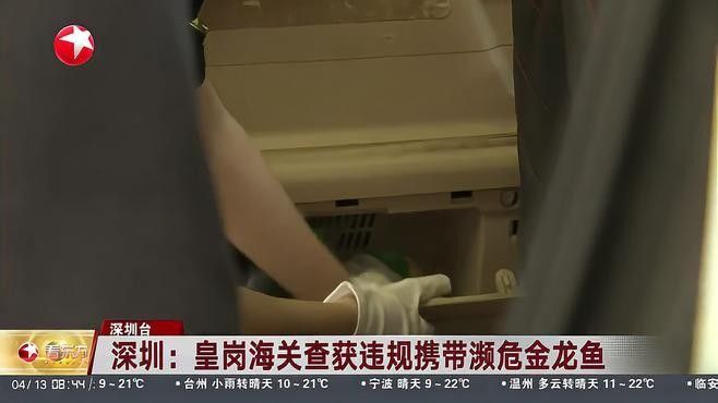 哪些品種的龍魚需要眼睛手術（上海龍魚做手術修眼手術修眼手術的龍魚品種及相關原因）