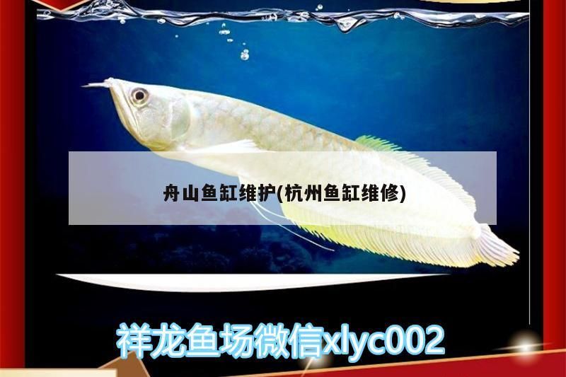 <strong><mark>舟山</mark></strong>魚缸維護(杭州魚缸維修)（<strong><mark>舟山</mark></strong>魚缸的維護）